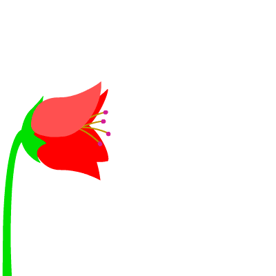  Flower & Bee